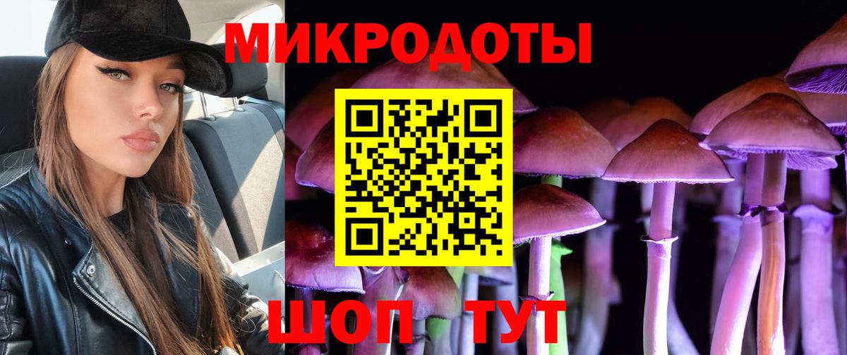 Псилоцибиновые грибы GOLDEN TEACHER  Вход с VPN  Каменка 